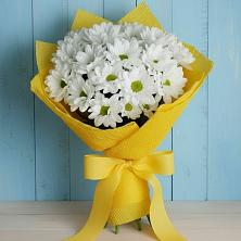 Букет цветов из:  Хризантемы в Кашарах