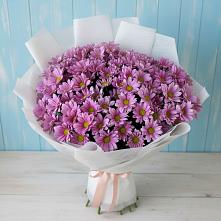 Букет цветов из:  Хризантемы в Кашарах