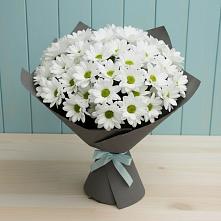 Букет цветов из:  Хризантемы в Кашарах