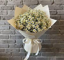 Букет цветов из:  Ромашки #REPLACE_PRED# Кашарах